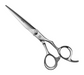Stainless steel hair cutting scissors on a white background